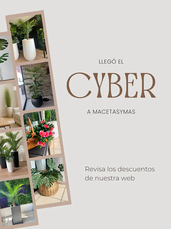 Cyber