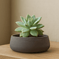Macetero redondo - Miniatura 2