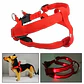 Arnés Para Perro Mascota Grande Con Luz Led - Miniatura 1