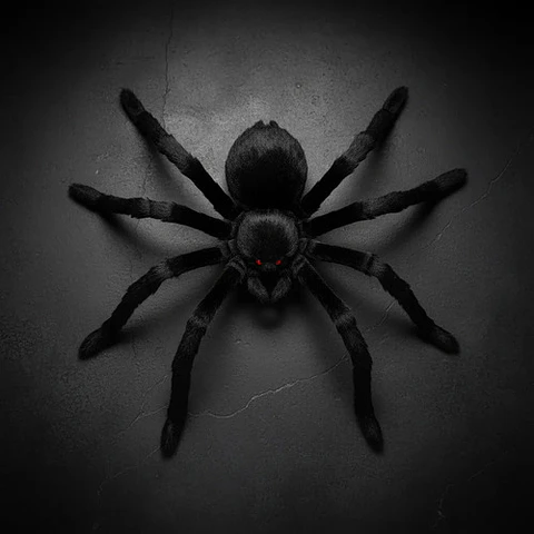 Araña Negra Halloween Fiesta Decorativa Disfraz Miedo 002395