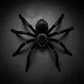 Araña Negra Halloween Fiesta Decorativa Disfraz Miedo 002395 - Miniatura 1