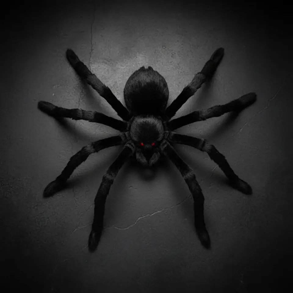 Araña Negra Halloween Fiesta Decorativa Disfraz Miedo 002395 1