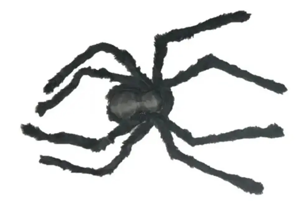 Araña Negra Halloween Fiesta Decorativa Disfraz Miedo 002395 6