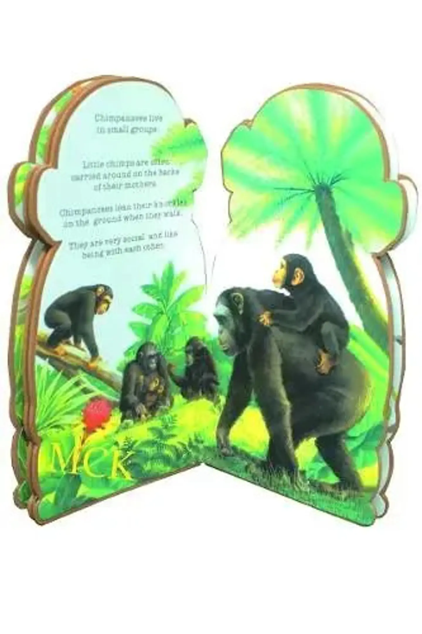 Cuento Animales Niños Infantil Foamy Ingles Yd-02  2