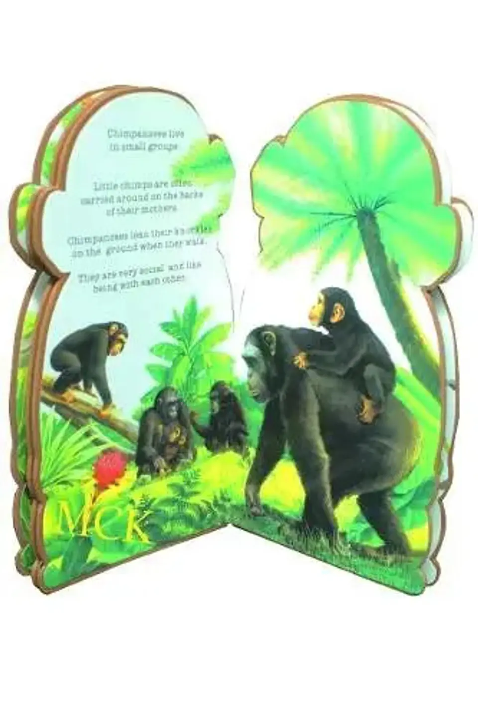 Cuento Animales Niños Infantil Foamy Ingles Yd-02  2