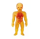 Stretch Armstrong Rayos X Original Elástico Muñeco 06777 - Miniatura 3