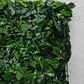 Matas Artificiales Decoración Hojas Jardín 12270 Wd X 1und  - Miniatura 6
