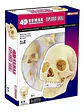 4d Vision Human Anatomy Modelo Craneo Humano 17pcs 26086 - Miniatura 1