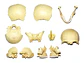 4d Vision Human Anatomy Modelo Craneo Humano 17pcs 26086 - Miniatura 4