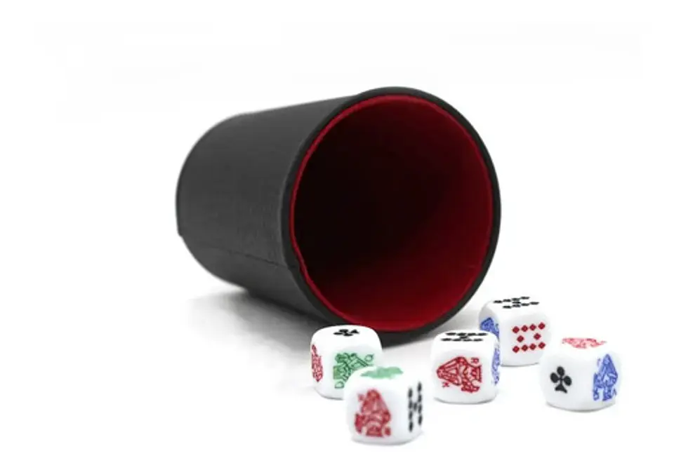 Cacho Yahtzee Juego De Mesa 4 Tatucos  Paño + 20 Dados Poker 6