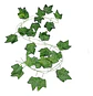 Guirnalda Hiedra Verde Seda Plástico 2.35m Pack 12 Mazugi Decoración - Miniatura 2
