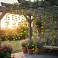 Enredadera Plantas 1 X 12und Decoracion Artificial 0485 - Miniatura 3