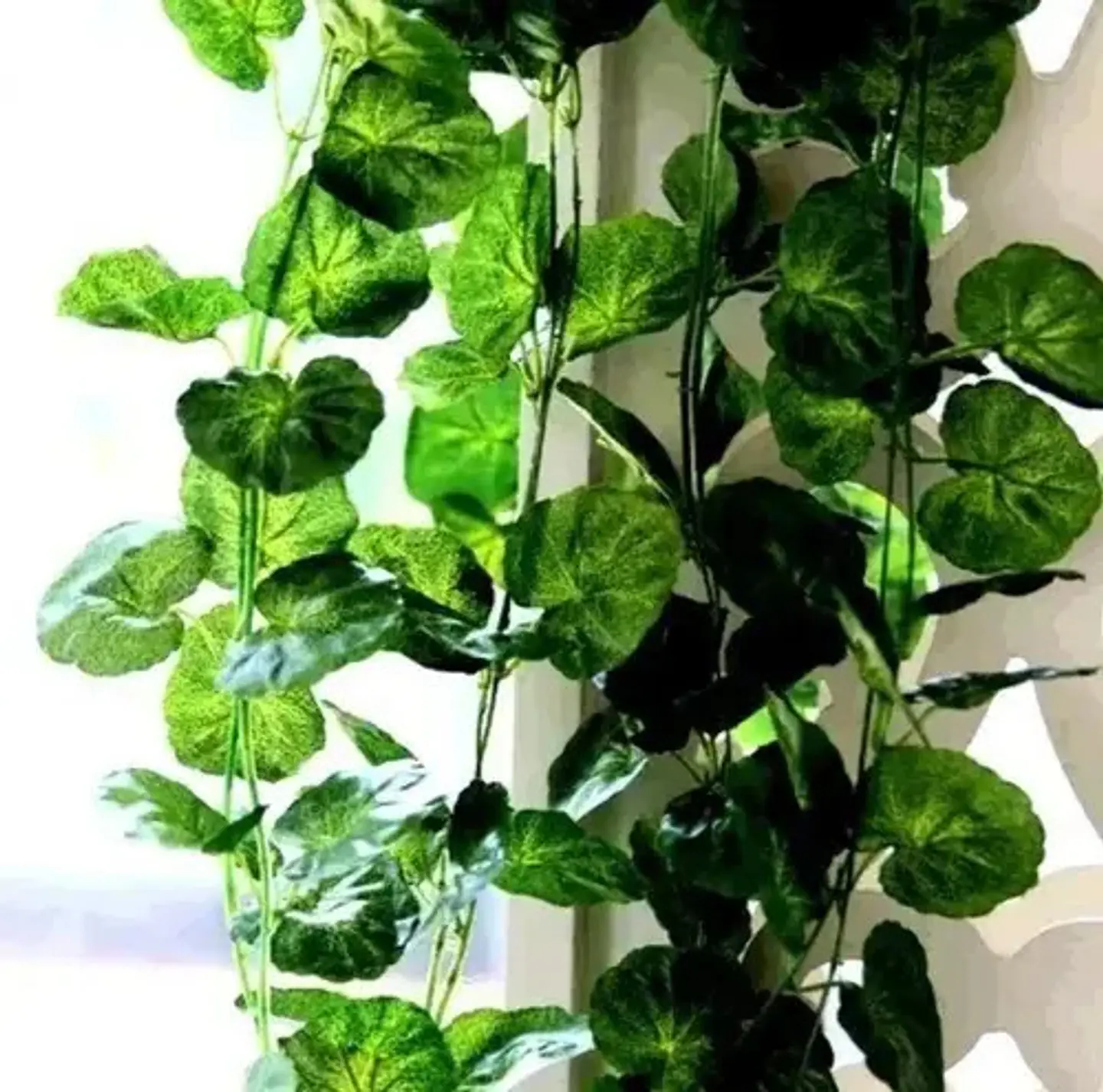Enredadera Hiedra Artificial Jo Verde Pack 12 Unidades 2.54m Decoración 4