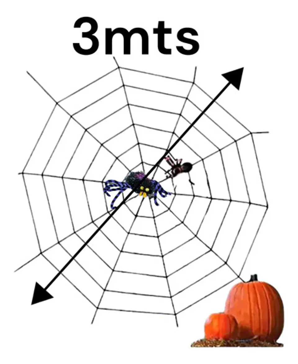 Telaraña Decoración Halloween Negra Hogar Fiesta Disfraz 2