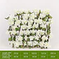 Cerca Decorativa Artificial Expandible Follaje Decora 0241-2 - Miniatura 14