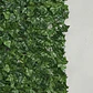Enredadera Hojas Artificial Decorativa Enrollable 3x1 Mts - Miniatura 9
