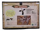Fósil Dinosaurio Laboratorio Ciencia Excavar Niños Steam Con Accesorios Negro - Miniatura 2
