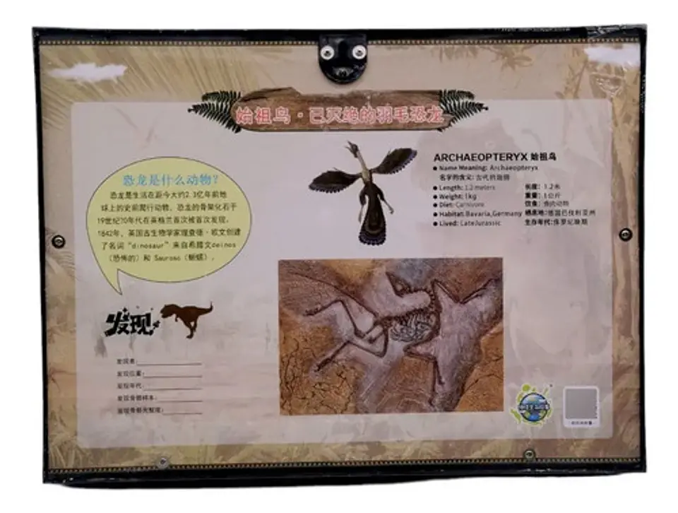 Fósil Dinosaurio Laboratorio Ciencia Excavar Niños Steam Con Accesorios Negro 2