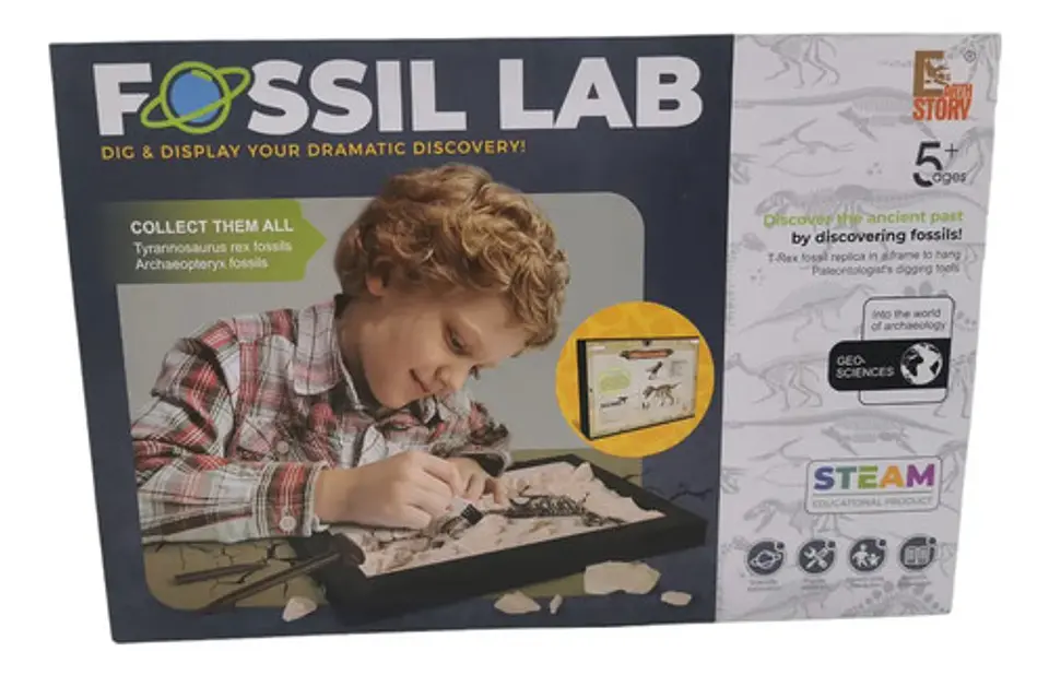Fósil Dinosaurio Laboratorio Ciencia Excavar Niños Steam Con Accesorios Negro 4
