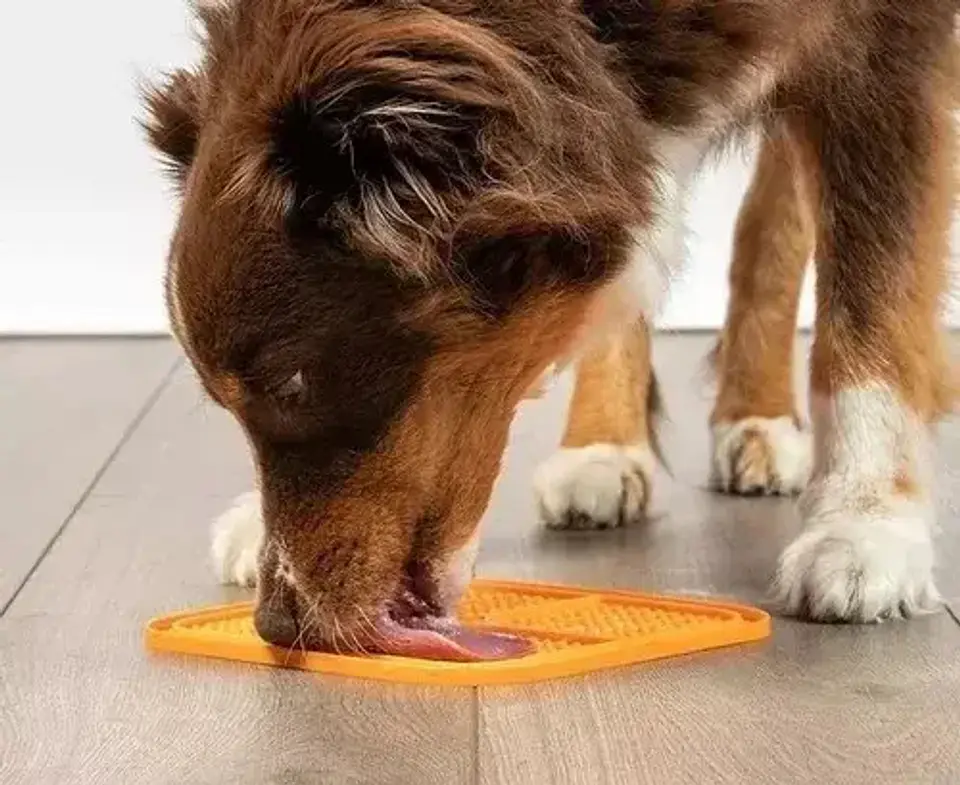 Tapete Comedero Lento Mascota Patron Alimentación Antiestrés 4