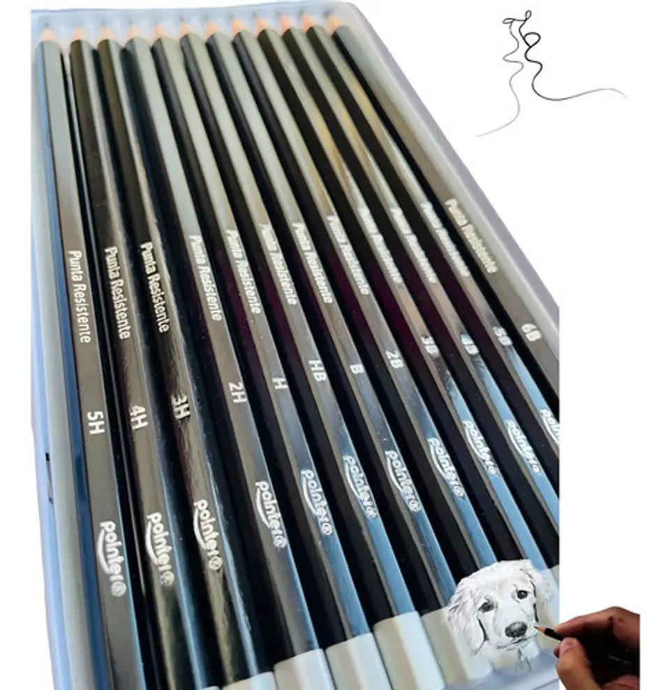 Pointer 12 Pcs 2