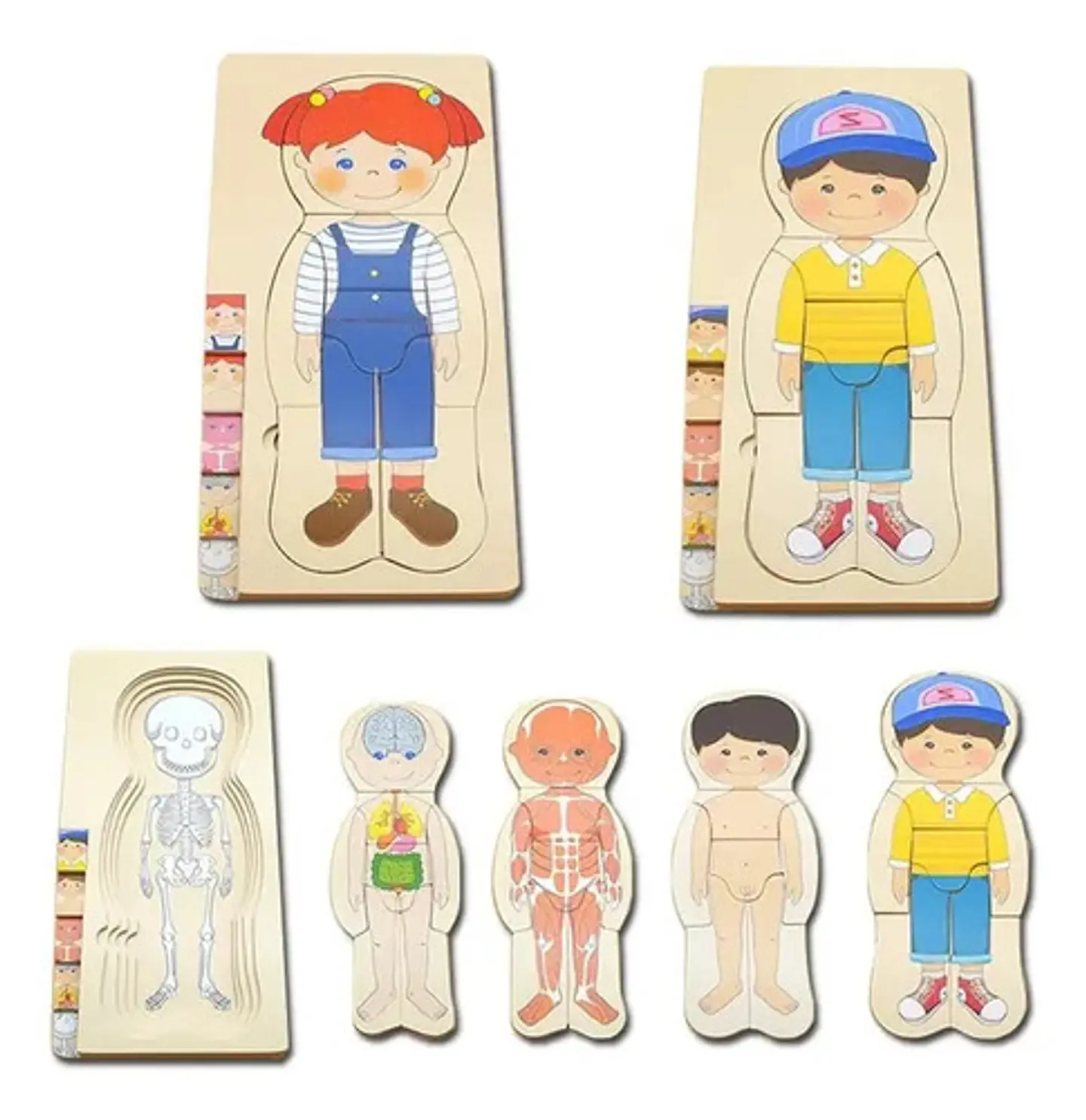 Rompecabezas Didáctico Sistemas Del Cuerpo Humano 5 En1 Niño 2