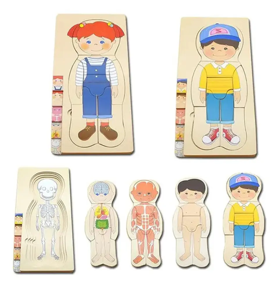 Rompecabezas Didáctico Sistemas Del Cuerpo Humano 5 En1 Niño 9