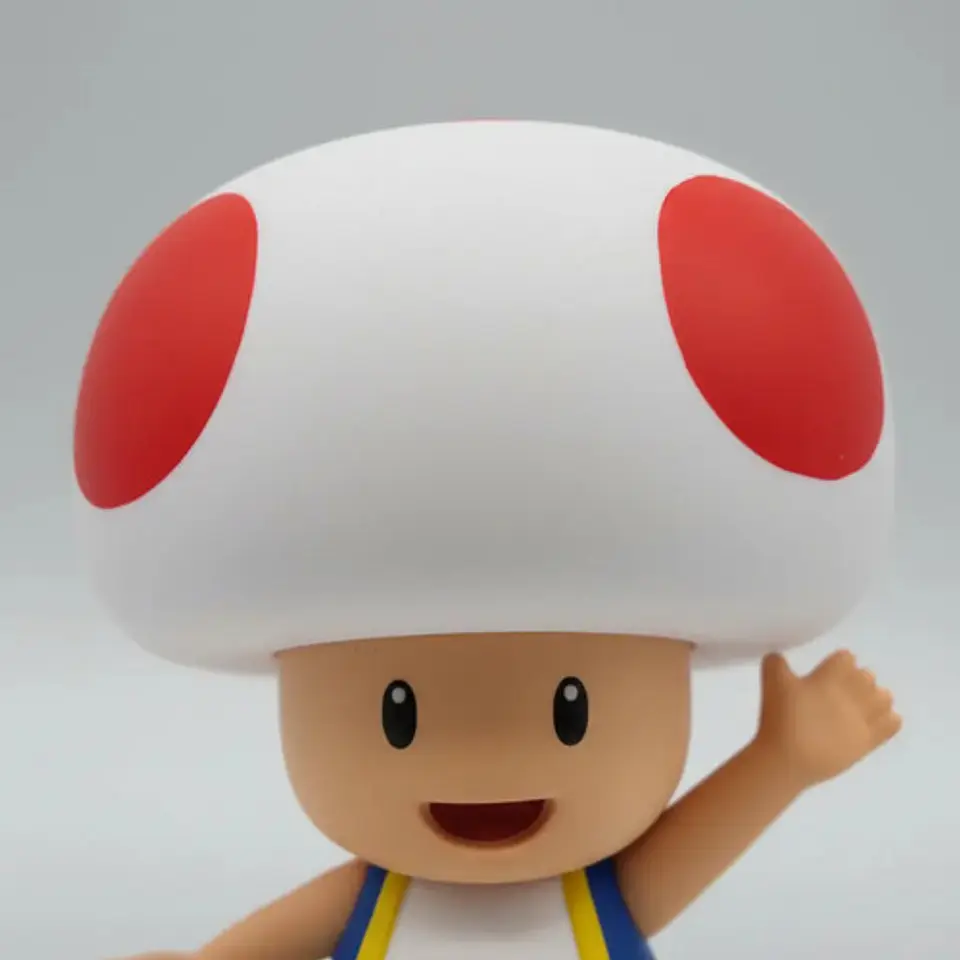 Super Mario Y Sus Amigos  10
