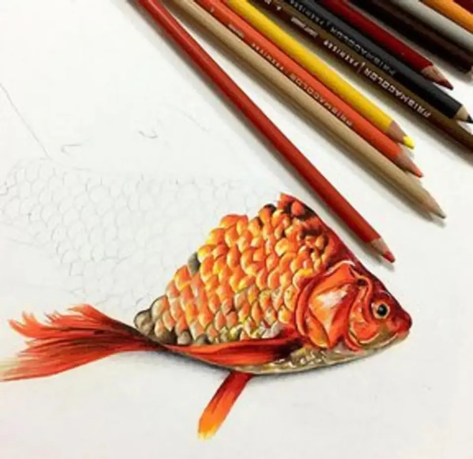 Lápices 24 Colores Prismacolor Colores Surtidos 4