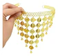 Accesorios Diadema Aretes Cinturon Collar  Danza Del Vientre Disfraz Arabe - Miniatura 3