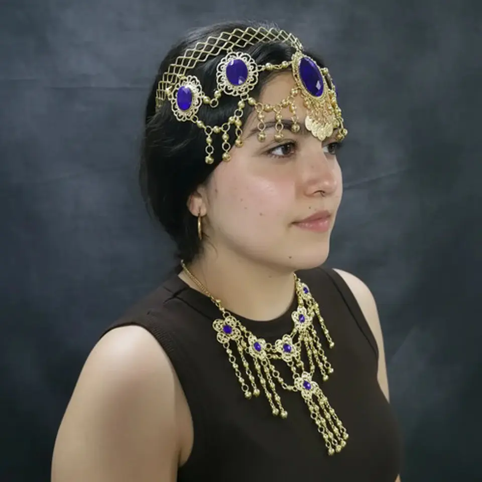Accesorios Diadema Aretes Cinturon Collar  Danza Del Vientre Disfraz Arabe 9