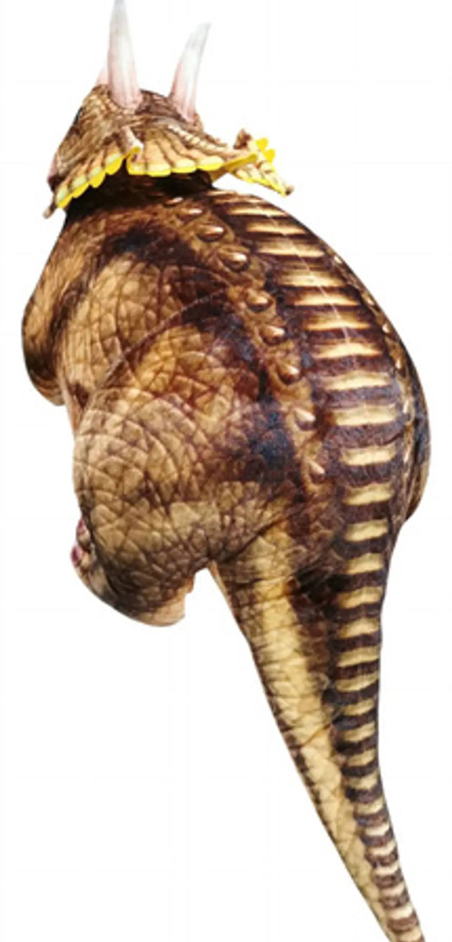 Peluche Personaje Dinosaurios Felpa Hipoalergenico 1 Metro 15