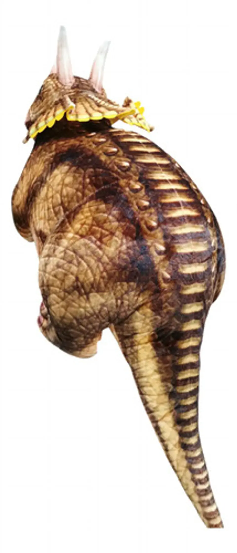 Peluche Personaje Dinosaurios Felpa Hipoalergenico 1 Metro 15