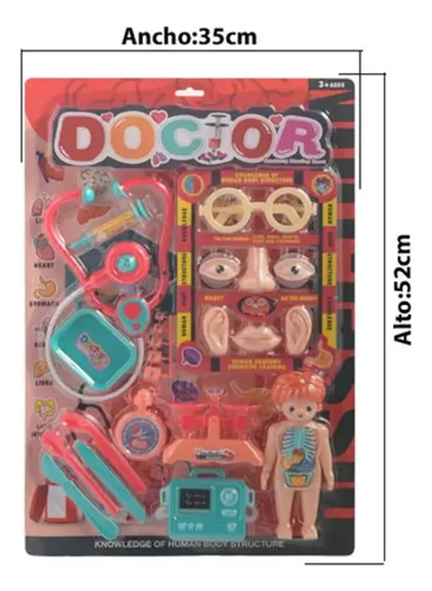 Kit Doctor Niños Partes Del Cuerpo Juguete  Anatomia 3