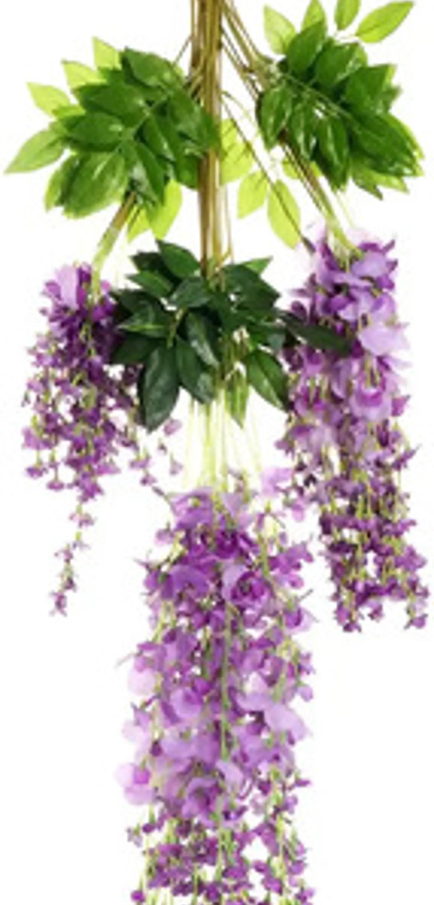 Flores Artificiales Plástico Violeta Vid Ramo Unidad 72cm Q 1