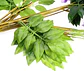 Flores Artificiales Plástico Violeta Vid Ramo Unidad 72cm Q - Miniatura 3
