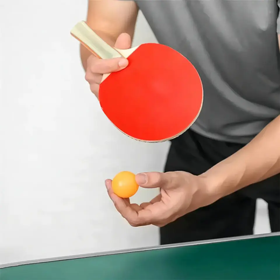 Digudu Tenis de Mesa Ping Pong Completo 9
