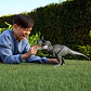 Jurassic World Rebirth: El Poder Devora Al Tiranosaurio Rex Mattel - Miniatura 7