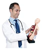 Set Cuerpo Torso Humano Sistema Digestivo A Escala 4d - Miniatura 3