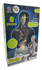 Set Cuerpo Torso Humano Sistema Digestivo A Escala 4d - Miniatura 5