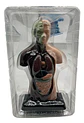Set Cuerpo Torso Humano Sistema Digestivo A Escala 4d - Miniatura 8