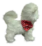Perro Peluche Control Collar Camina Ladra Mueve La Cola Gran - Miniatura 6