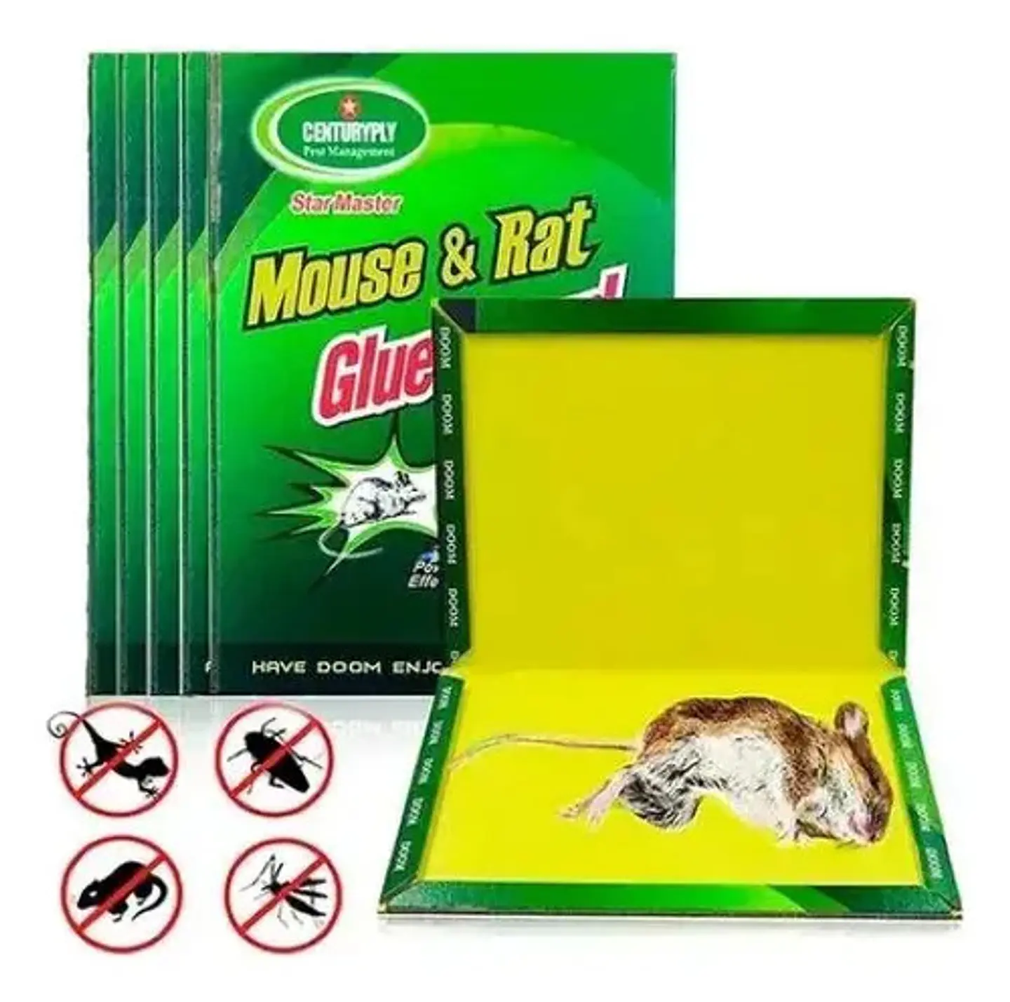 Set X3 Trampas Para Ratón Caza Pegarata 1