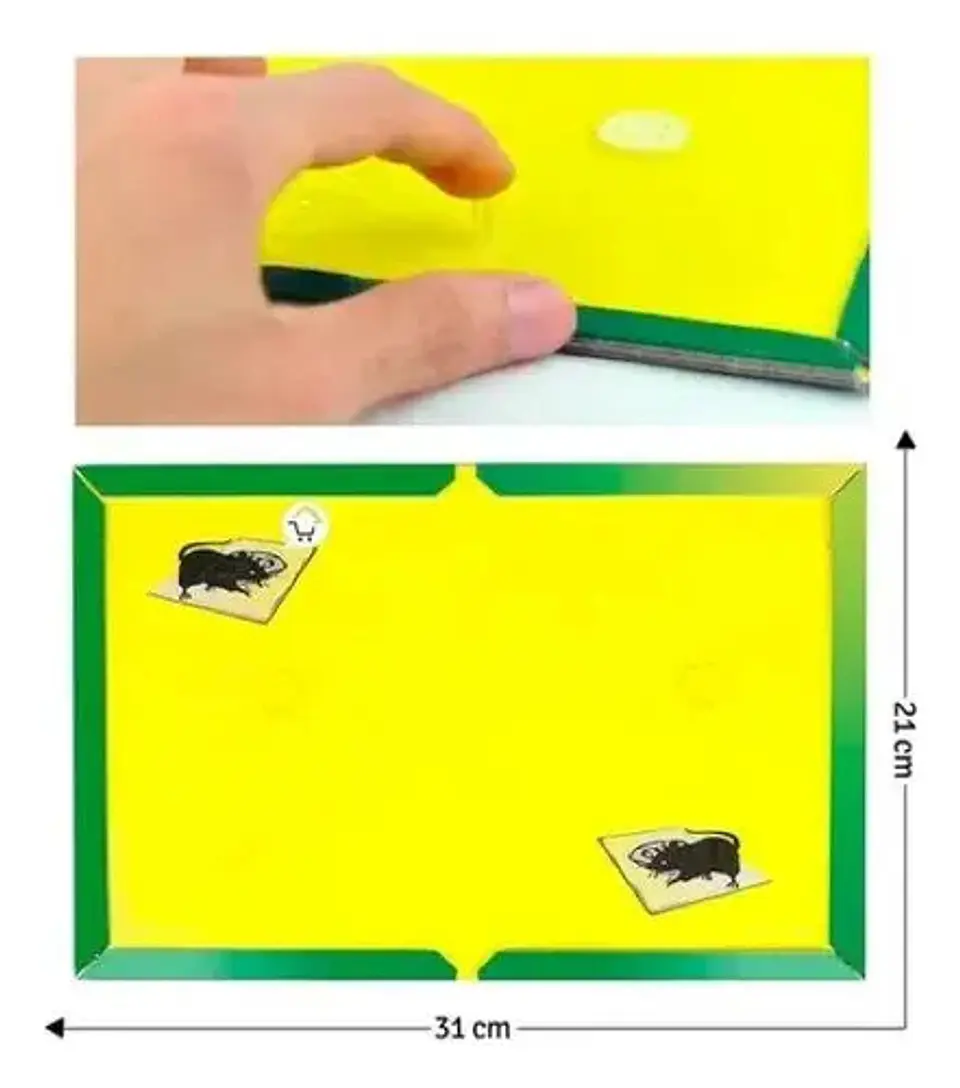 Set X3 Trampas Para Ratón Caza Pegarata 2