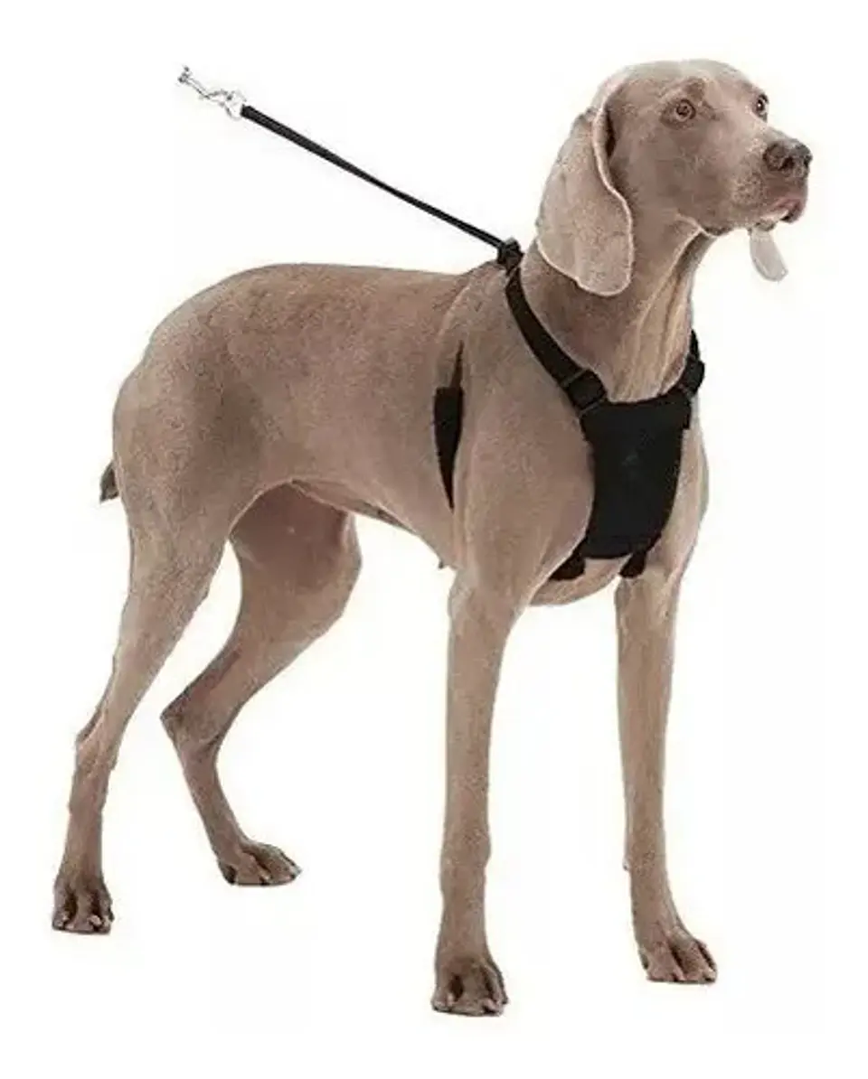 Arnes Pechera Perros Razas Mediana Americano Aproveterinaria 1