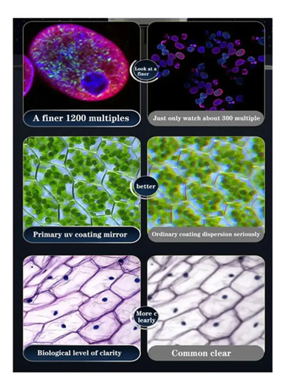 Microscopio Trinocular Óptico 1200x Blanco Didáctico C2208 Macrooutlet 3v 6