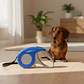 Correa Retráctil De 3 Metros Para Mascotas - Perros Y Gatos Azul - Miniatura 2