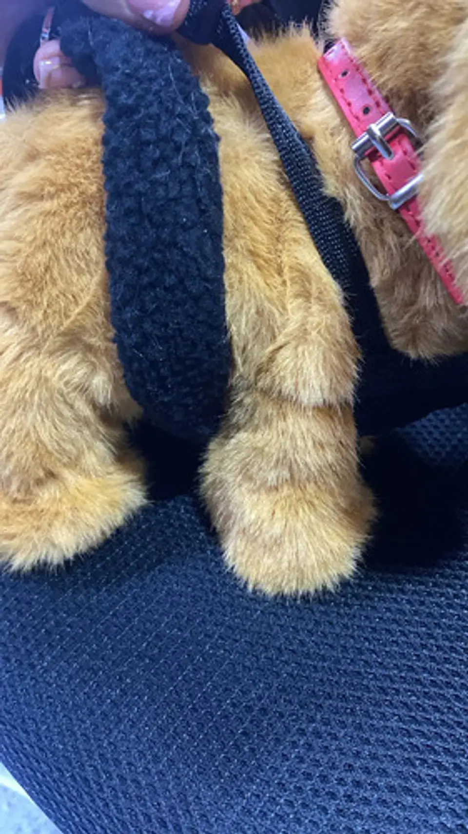 Arnes Pechera Perro Dog Soporte Mascota Pequeña 2