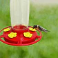 Bebedero Colgante Macrooutlet 3 Puestos 500 Ml Para Aves Rojo - Miniatura 2