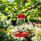 Bebedero Colgante Macrooutlet 3 Puestos 500 Ml Para Aves Rojo - Miniatura 8